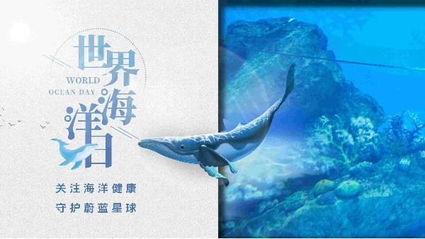 世界海洋日|91抖音下载入口为你勾勒心中那片海