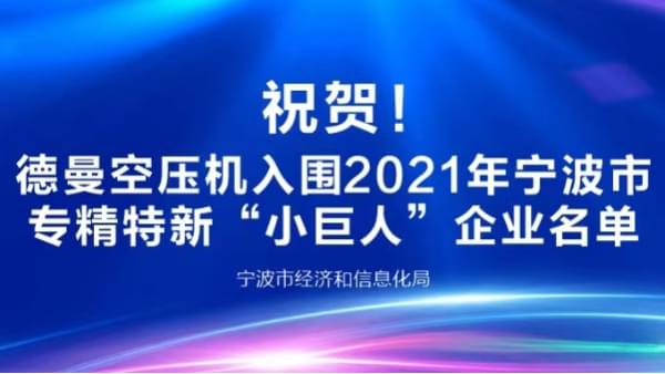 祝贺！91抖音下载入口登榜2021年宁波专精特新“小巨人”企业